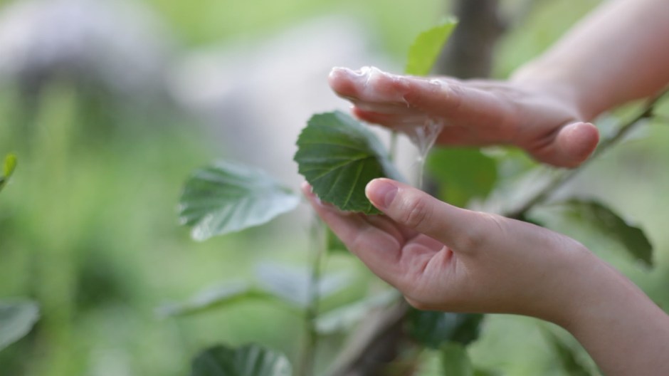 2formatkorr_vaselin1_handarb1