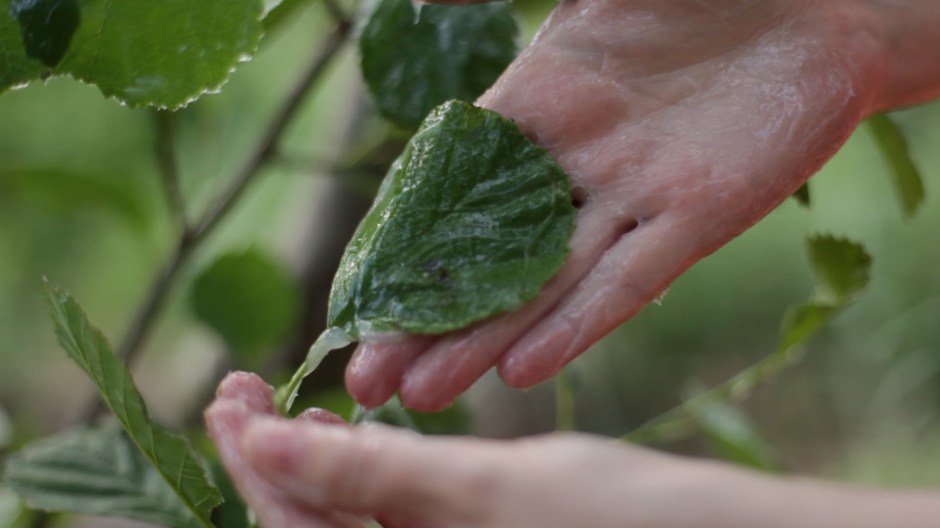 4formatkorr_vaselin1_handarb4